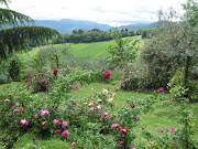 An outing with the Giardino Romano garden club to a specialist plant .