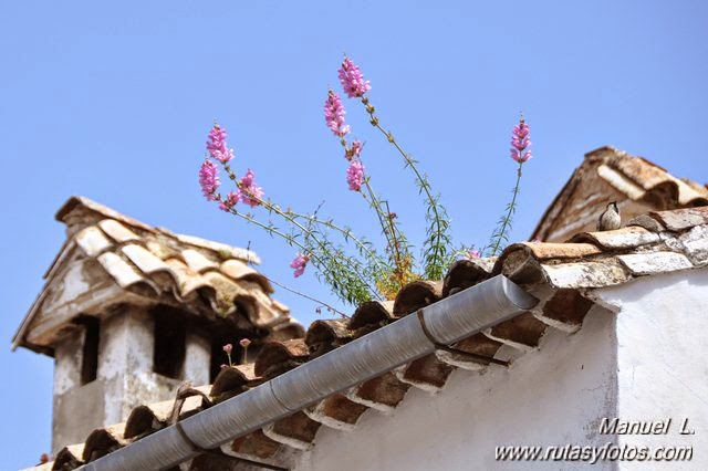 Jornadas Conoce Tus Fuentes (Grazalema)