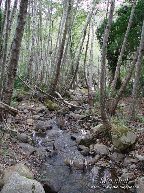 Sendero arroyo San Carlos del Tiradero