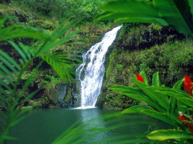 Beautiful 3D Nature WaterFall HD Wallpaper Free