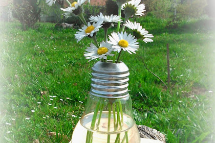 Light Bulb Vase! 