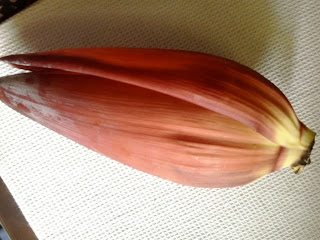 Vazhaipoo [ Banana blossom or banana flower ]