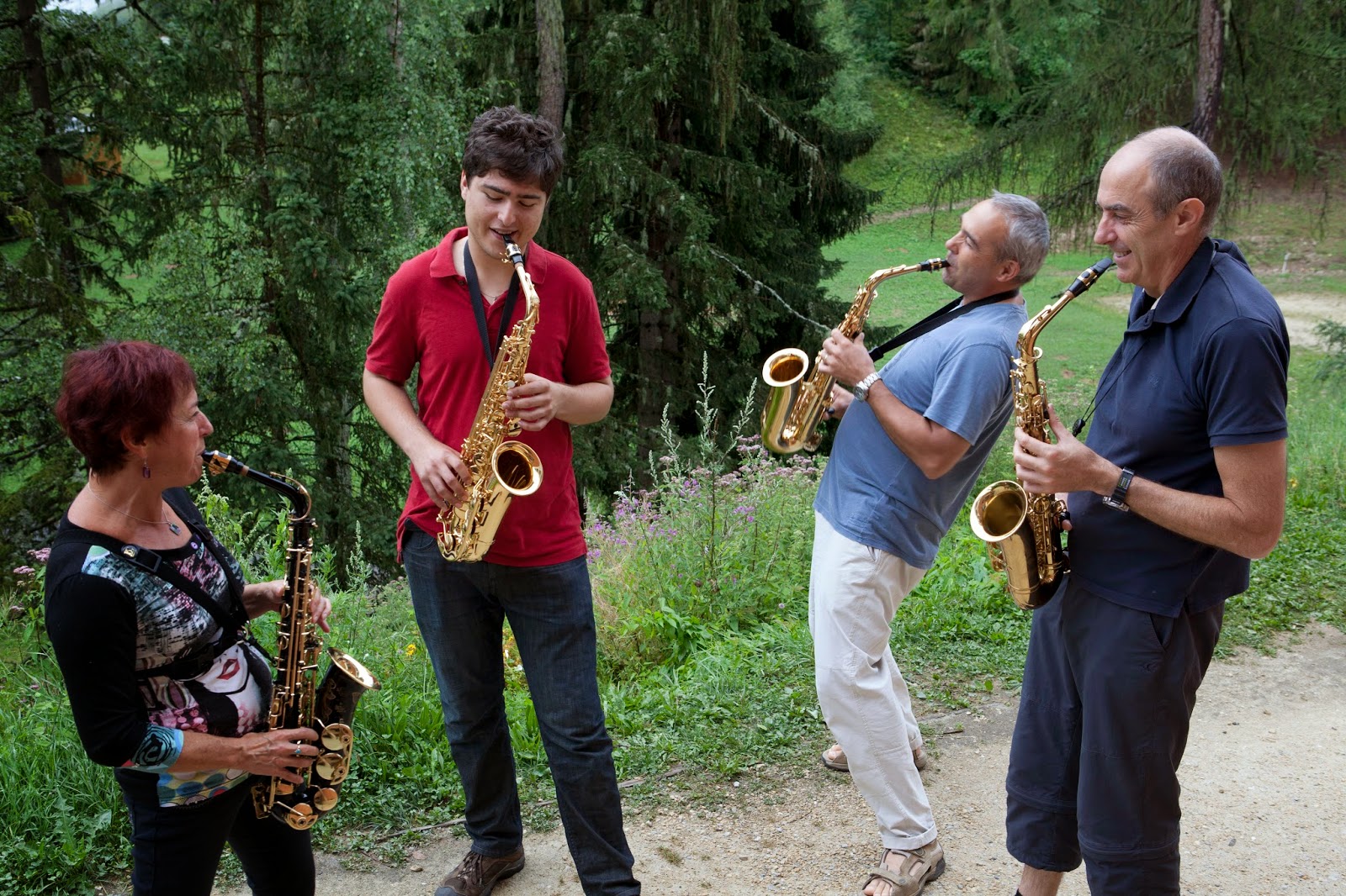 AMUSEON session de musique traditionnelleBoeuf ItinerantPicardie