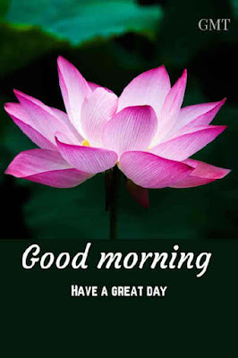 good morning message images