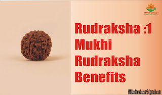 Rudraksha :1 Mukhi Rudraksha Benefits