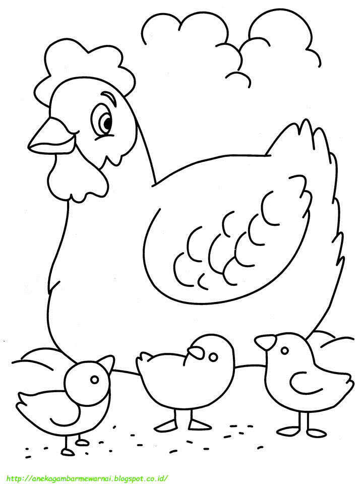 Konsep Terbaru Mewarnai Gambar Anak Ayam, Animasi Anak