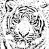 Tiger Stencil Tattoo Design #1