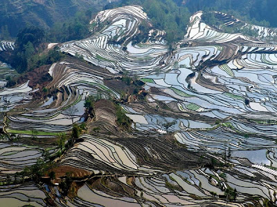 Fotografías curiosas aéreas