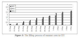 The Growth Characteristic of Summer Maize in the Wide Ditch Irrigation Mode