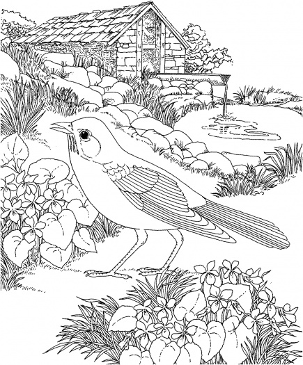 flower garden coloring pages for kids