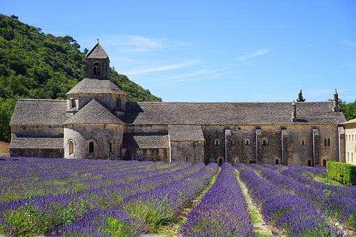 Benefits of the Lavender Plants