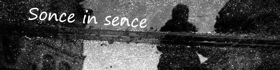 Sonce in sence 