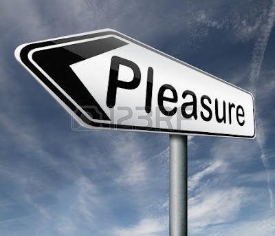 Happiness Versus Pleasure