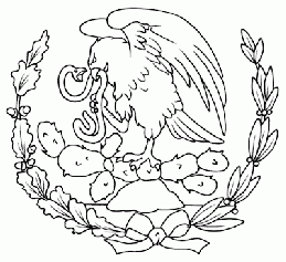 24 febrero dia de la bandera (4)