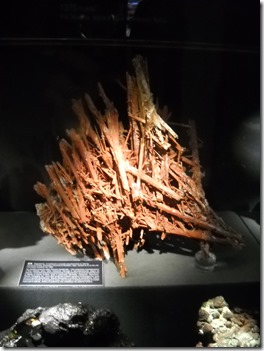 DSCN1616