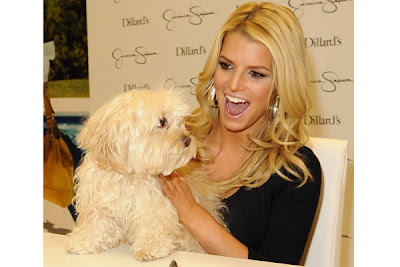 Top 10 Most Famous Celebrity Dogs Jessica Simpson – Daisy