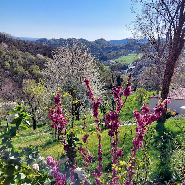 eremo san bovo valrovina cascata del silan sentiero