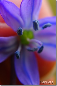 April 2009 207