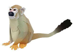 Squirrel Monkey Papercraft