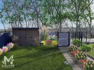 Projekt ogródka w zabudowie szeregowej, mały ogródek z karłowymi roślinami