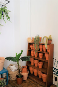 Cactus / Green addict / Blog Atelier rue verte /