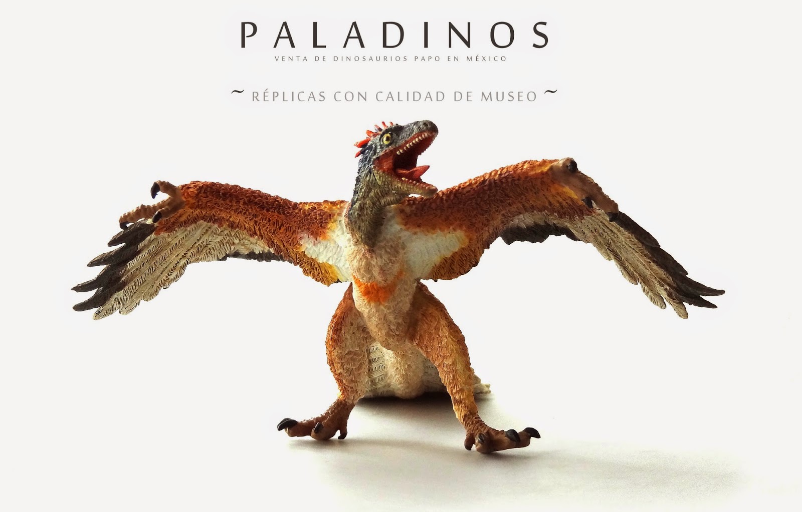 http://paladinos-mexico.com/productos/carnivoros/archaeopteryx/