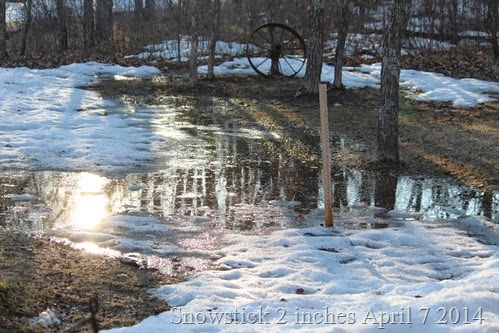 April 7 Snow stick