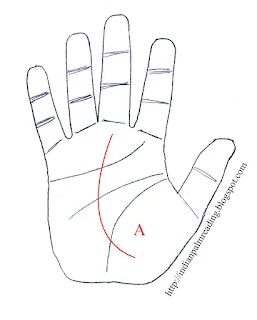 Origin of fate line from Mount of Venus Palmistry