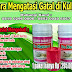 OBAT GATAL EKSIM KERING