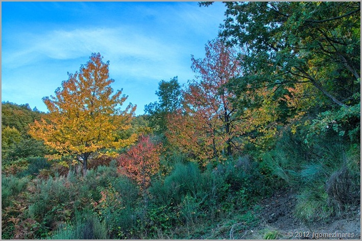 DSC_3648-HDR(3)