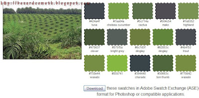 Plant Color Scheme