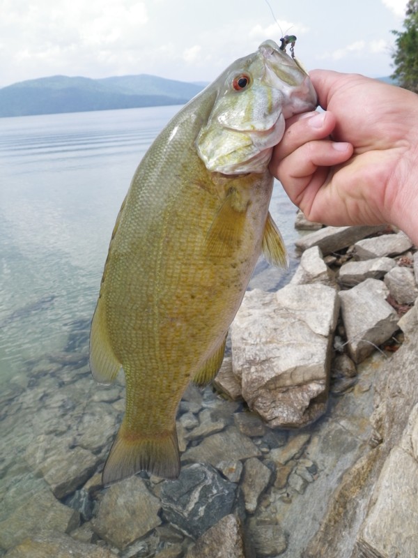 Jeff Samsel Fishing: Lake Jocassee Trout