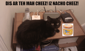 Funny lolcat picture featuring black cat and nacho cheese