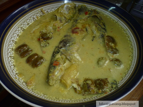 Bila air pasang: Masak lemak cili api ikan sungai