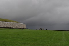 DSC_2460