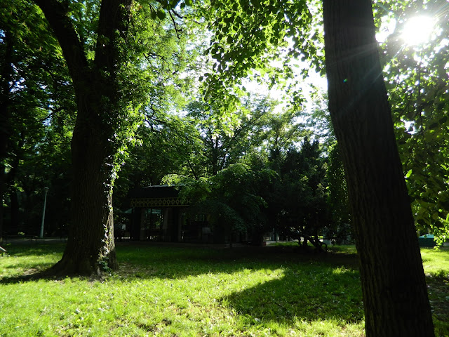 photo of park