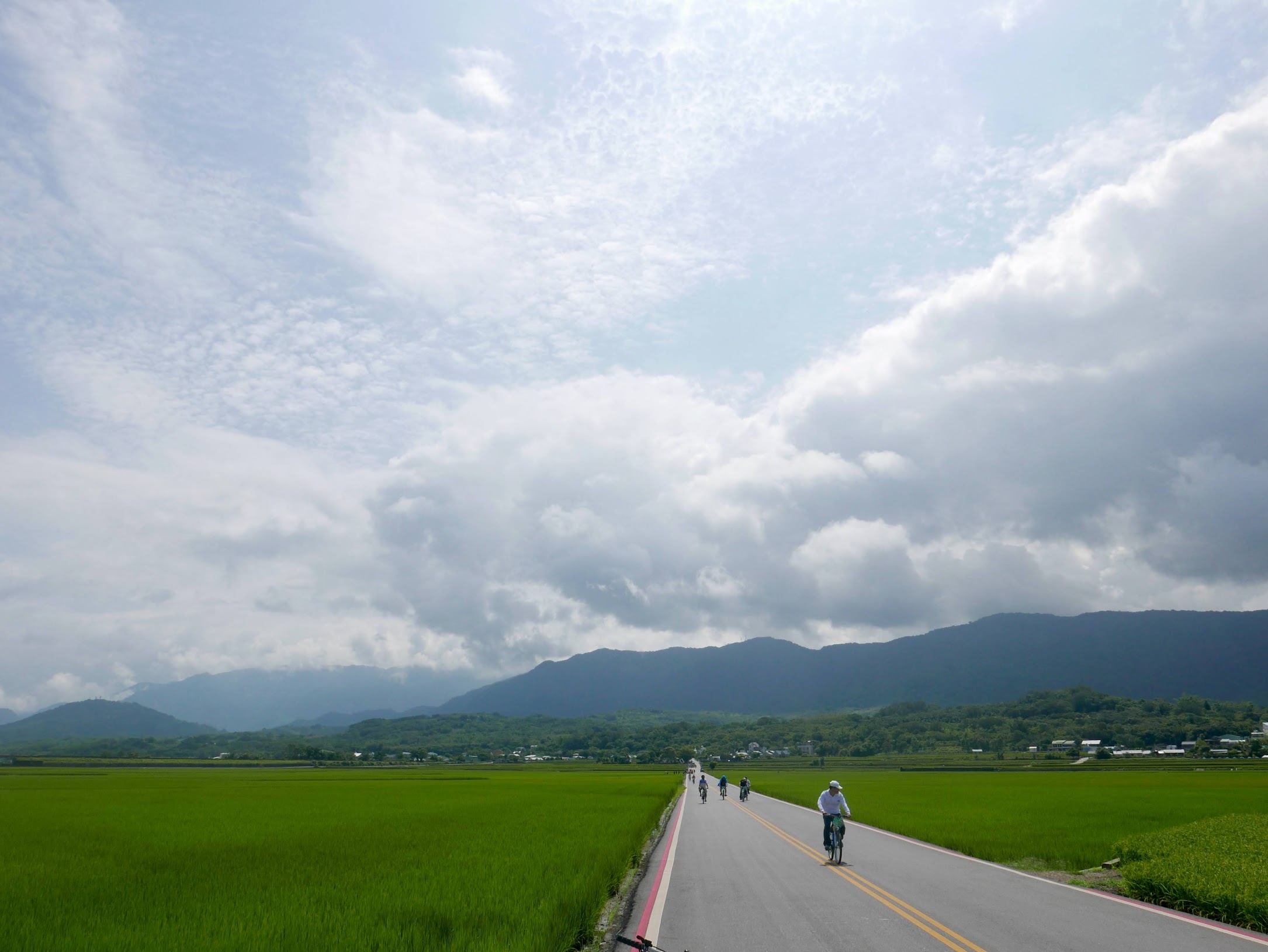 台東縣池上鄉 伯朗大道