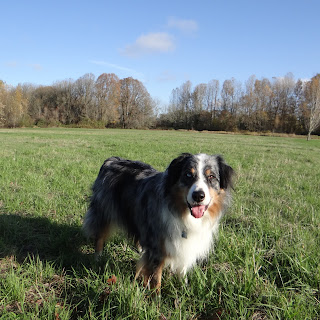 Hobie at Vancouver Lake Park