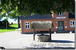 IMG_7582