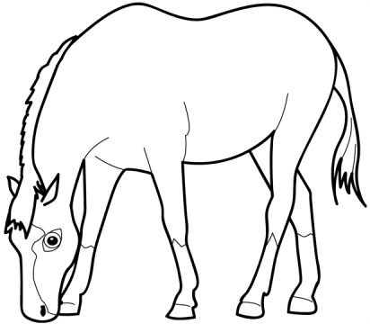 Horse Coloring Pages on Horse Coloring Pictures Pages Sheet Print Horse Eating Grass Coloring