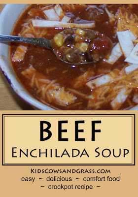 Beef Enchilada Soup from www.KidsCowsandGrass.com