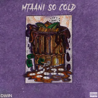 album of dwin - mtaani so cold