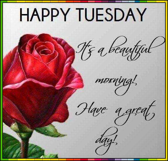 good morning and happy tuesday
