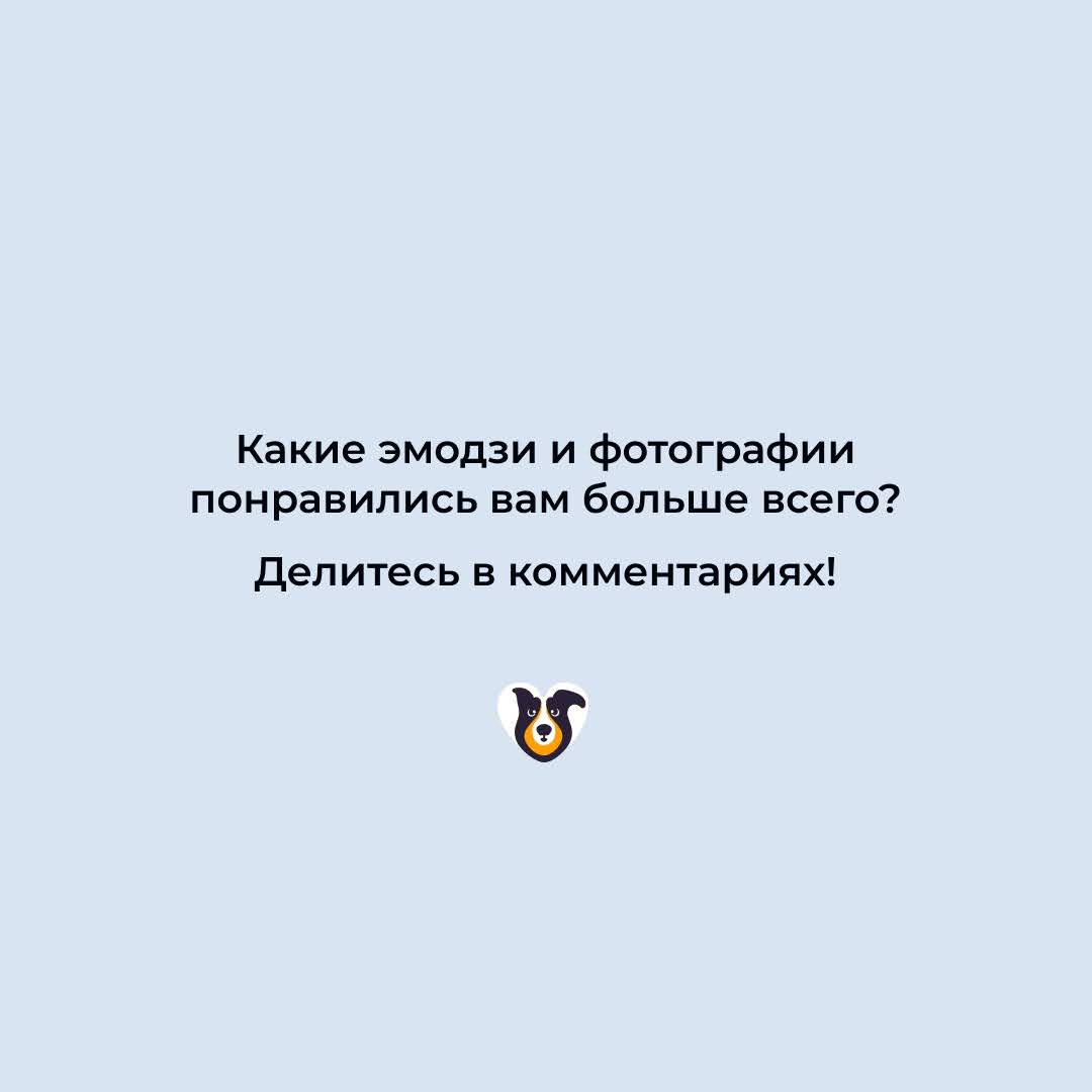 Представьте, если бы у питомцев из нашего приюта были собственные эмодзи | Приют для бездомных животных (собак), Москва, МО
