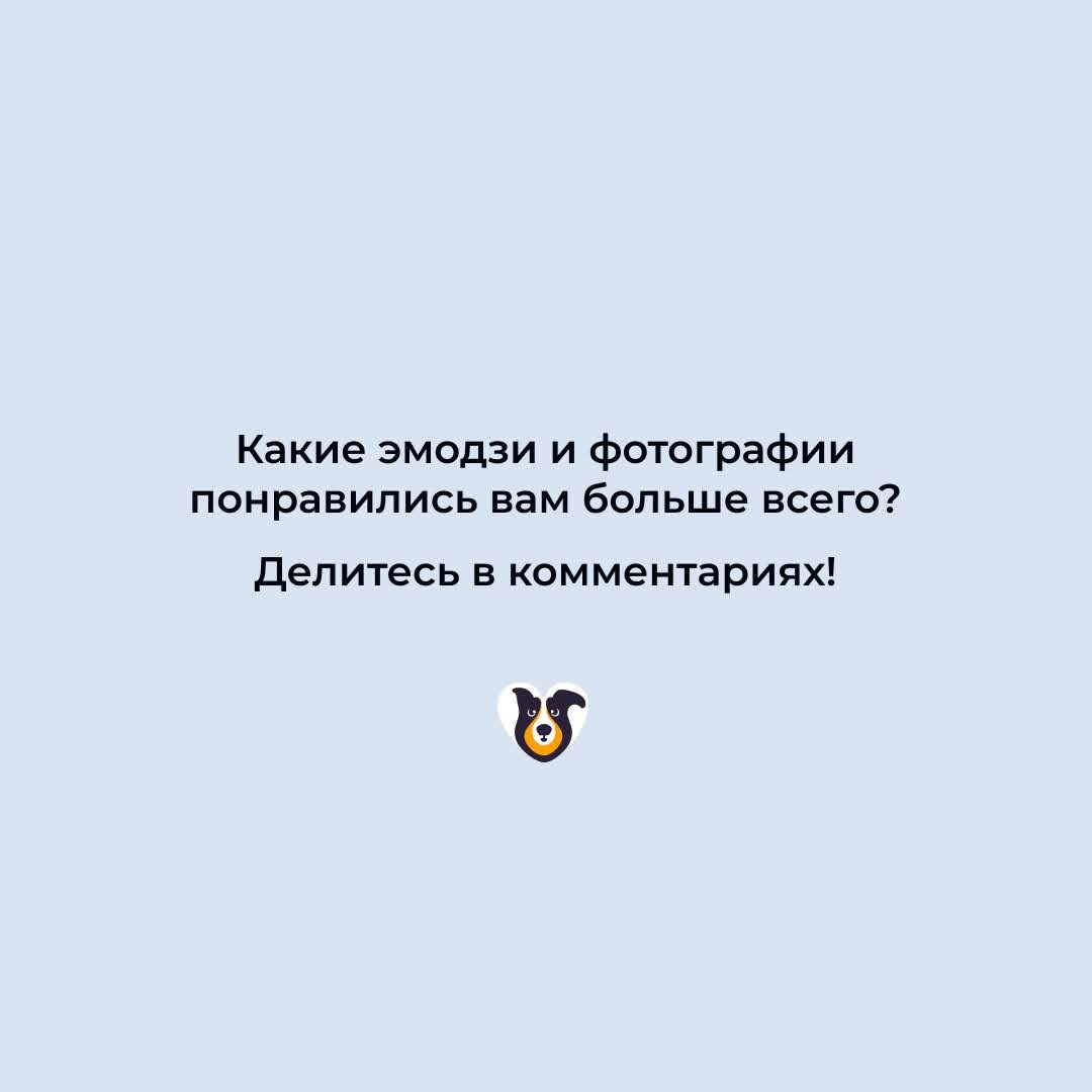 Представьте, если бы у питомцев из нашего приюта были собственные эмодзи | Приют Щербинка для бездомных животных (собак), Бутово, Москва, ЮЗАО