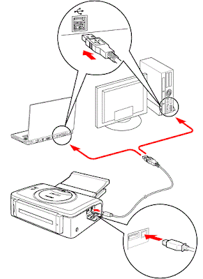 Как подключить кабель для принтера к компьютеру или ноутбуку