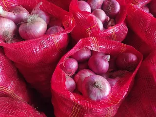 Top-Quality Nashik Onion for Export to Middle East and Far East Countries