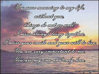 You gave meaning to my life, without you, things do not go well, I miss always being together, I miss your smile and your will to live. You are very important to me. You are my one and only love