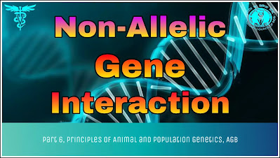 Non-Allelic Gene Interaction