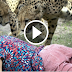 Woman Mauled By Cheetahs In South Africa As Husband Photographs Attack